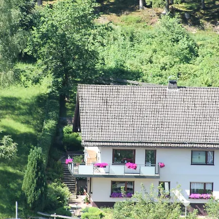 瑞斯尔蓬度假公寓 施马伦贝格