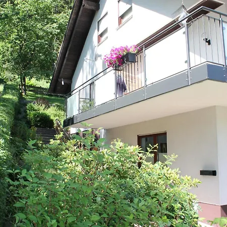 瑞斯尔蓬度假公寓 施马伦贝格