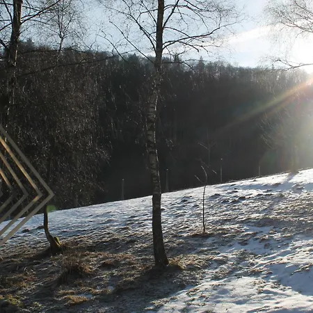 瑞斯尔蓬度假公寓 公寓 施马伦贝格