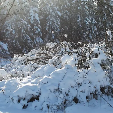 Apartamento Rehsiepen *