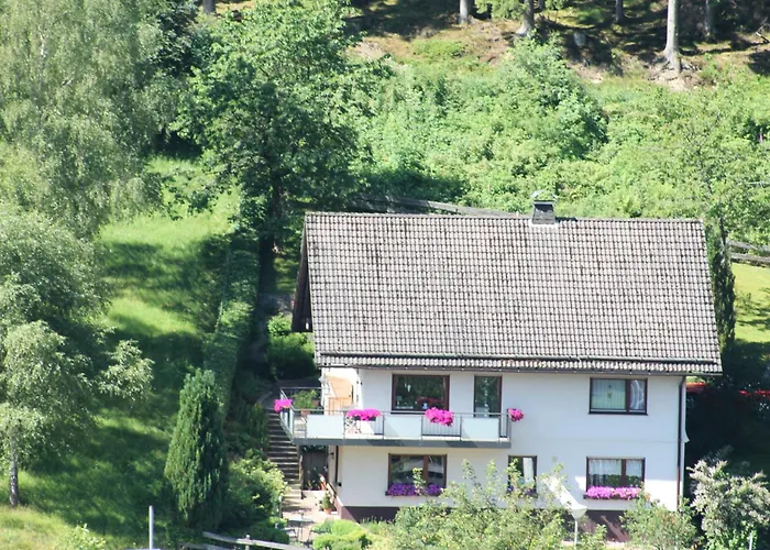 Rehsiepen Schmallenberg