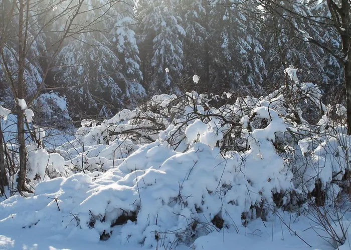 Lejlighed Rehsiepen *